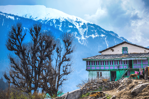 Top 8 places to visit in himachal pradesh