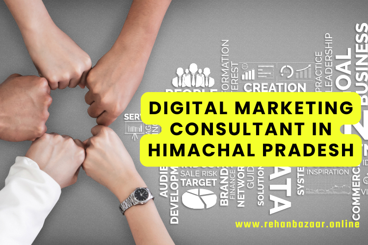 Digital Marketing Consultant in Himachal Pradesh