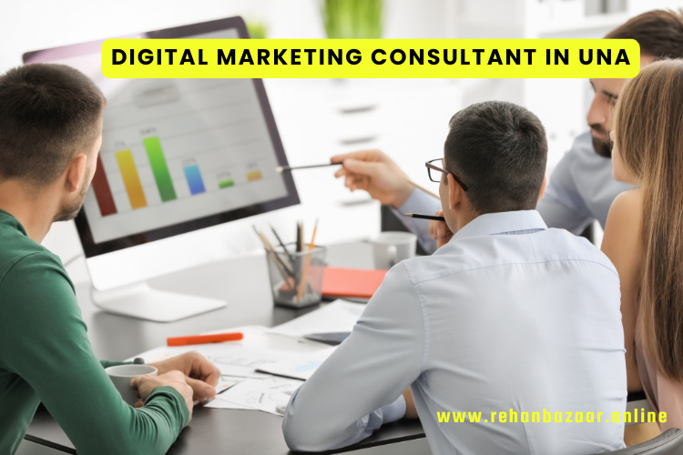 Digital Marketing Consultant in Una