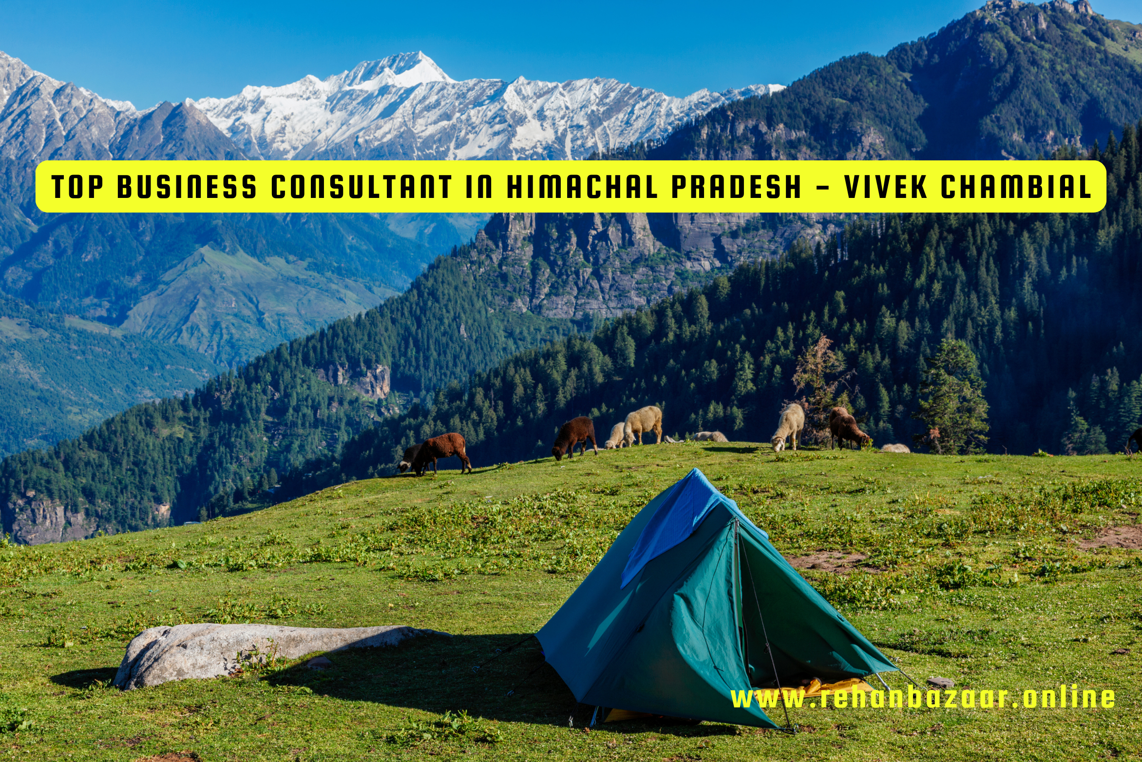 Top Business Consultant in Himachal Pradesh