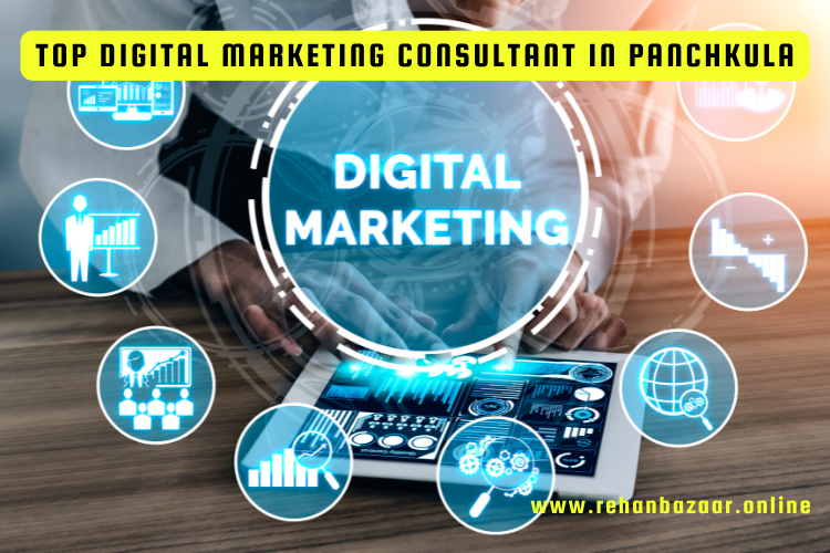 Top Digital Marketing Consultant in Panchkula